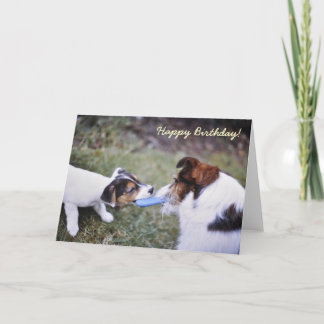 Cartão de aniversário Jack Russell