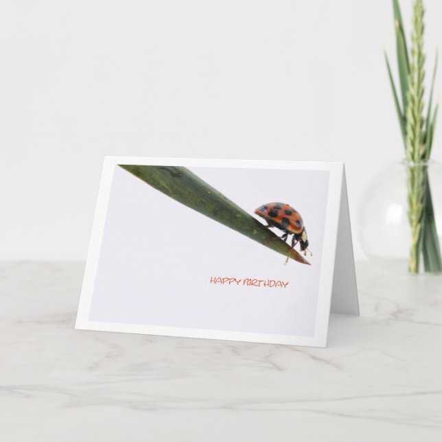 Cartão de Aniversário Joaninha (Frente)