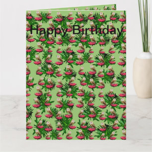 Cartão de Aniversário Jumbo Corujas e Flores de Ló