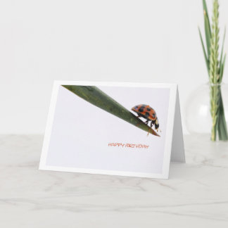 Cartão de Aniversário Ladybird