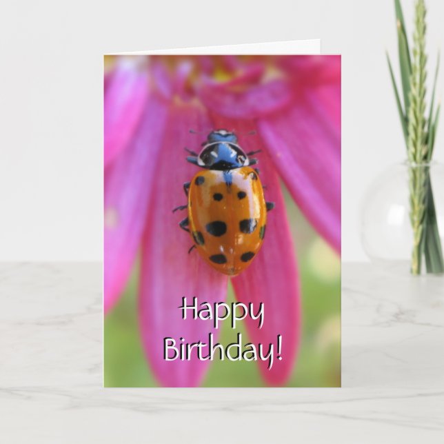 Cartão de Aniversário Ladybug (Frente)