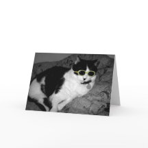 Cartão de aniversário legal Cat w óculos escuros