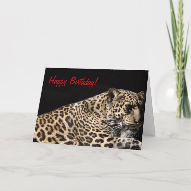 Cartão de Aniversário Leopardo (Frente)