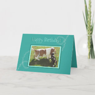 Cartão de aniversário mágico com ferros de basquet