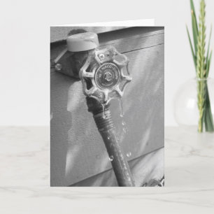 Cartão de Aniversário "Mangueira de Jardim Gotejan