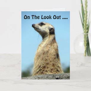 Cartão de aniversário Meerkat