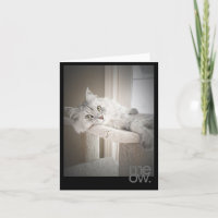 Cartão de Aniversário Original Traduzido Meow