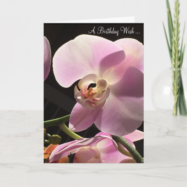 Cartão de Aniversário Orquídea Rosa (Frente)