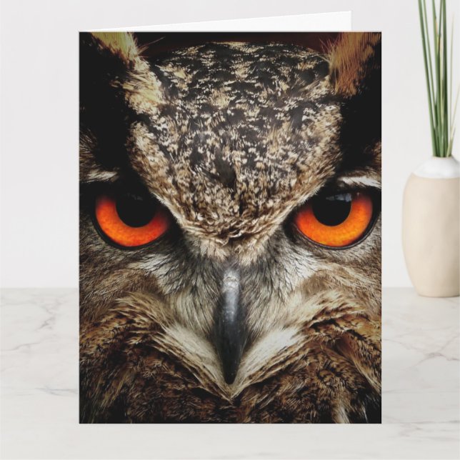 CARTÃO DE ANIVERSÁRIO OWL Photoographic Oversize (Frente)