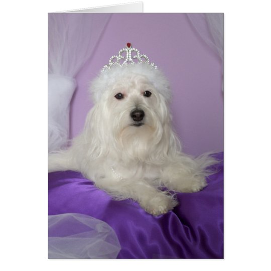 Cartão de aniversário para a neta -- Princesa