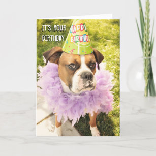 Cartão de Aniversário para Animais de Festa