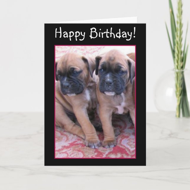 Cartão de aniversário para cachorro Boxer (Frente)
