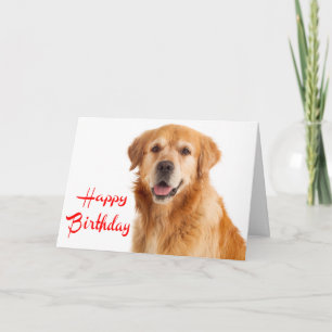 Cartão de Aniversário para Cachorro Filhote Retrie