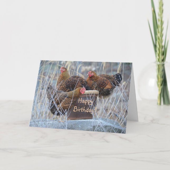 Cartão de Aniversário para Galinhas bobos (Frente)