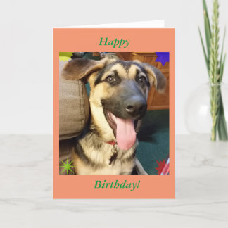 Cartão de Aniversário para German shepherd de Cão