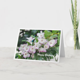 Cartão de Aniversário para Orquídeas