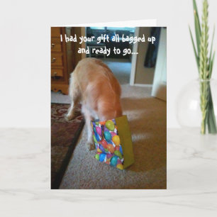Cartão de Aniversário para Retriever de ouro