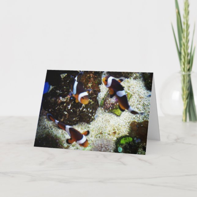 Cartão de Aniversário "Peixe-Palhaço" (Frente)