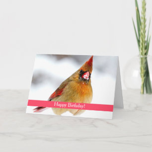 Cartão de Aniversário Personalizado Cardinário fem