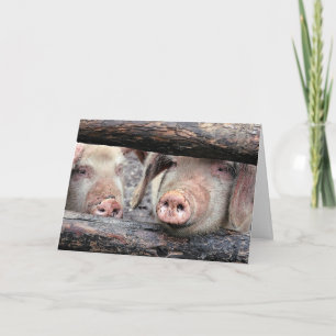 Cartão de Aniversário Personalizado De Porco Eng