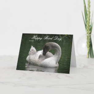 Cartão de Aniversário Personalizado de Swan Sono