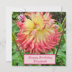 Cartão de Aniversário Plano Dahlia Rosa e Amarel
