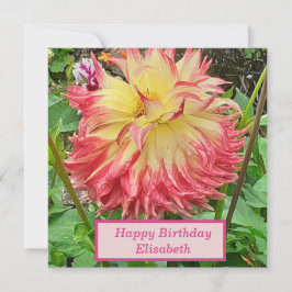 Cartão de Aniversário Plano Dahlia Rosa e Amarelo