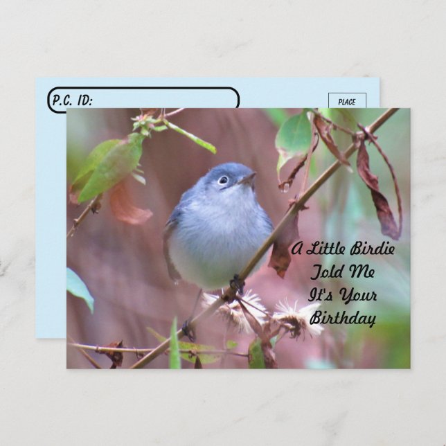 Cartão de Aniversário Postcrossing Little Birdie (Frente/Verso)