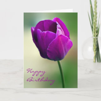 Cartão de Aniversário Púrpura Tulip