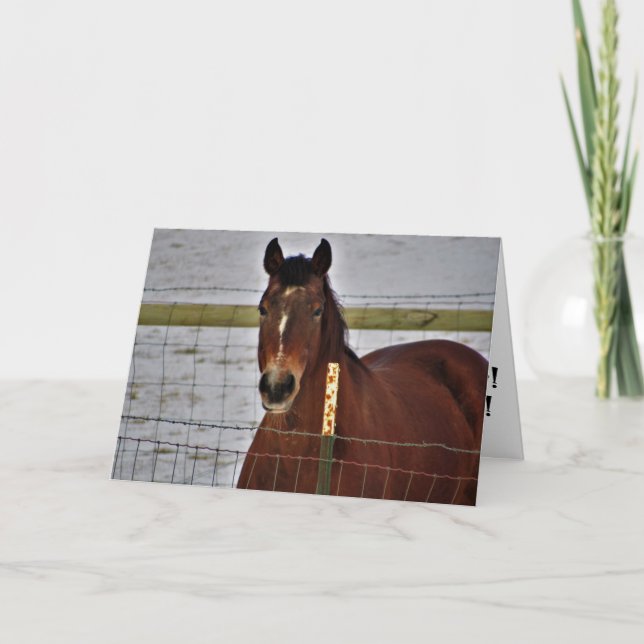 Cartão de Aniversário "Reinado Supremo" (Frente)