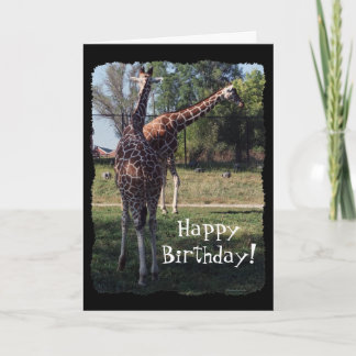 Cartão de aniversário Reticulated dos girafas