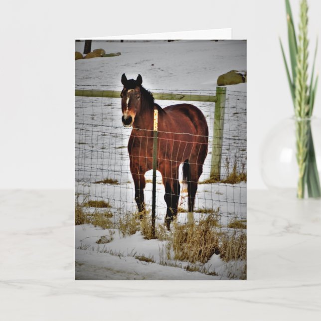 Cartão de Aniversário "Ride Away" (Frente)