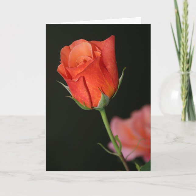 Cartão de Aniversário Romântico Rosa (Frente)