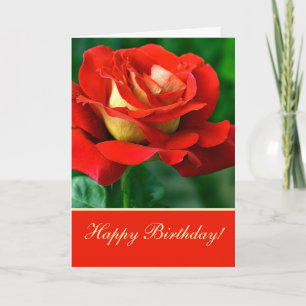 Cartão de Aniversário Rosa Vermelha
