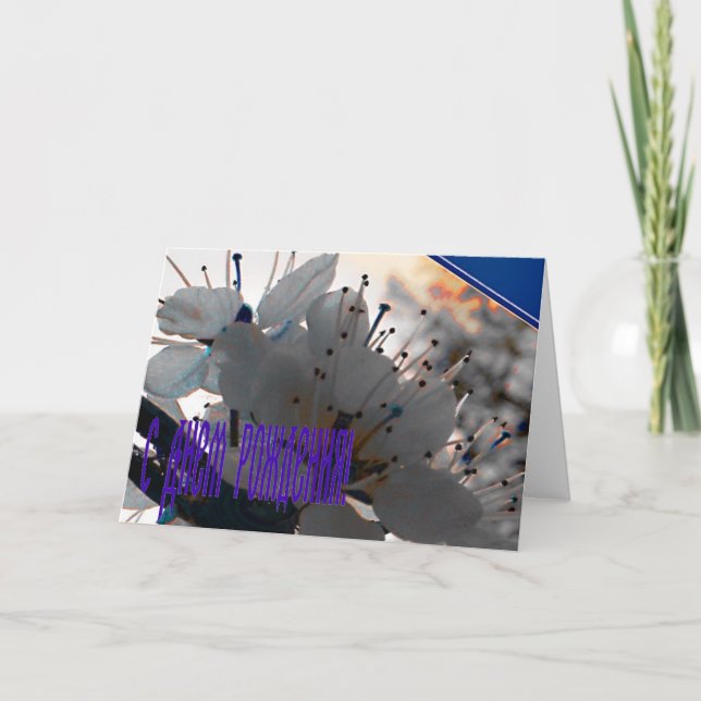 Cartão de aniversário russo com flores de cereja (Frente)