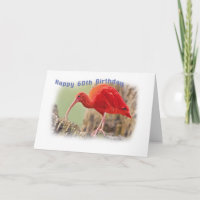 Cartão de Aniversário Scarlet Ibis Bird 60th
