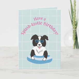 Cartão de aniversário Splash-tastic Border Collie
