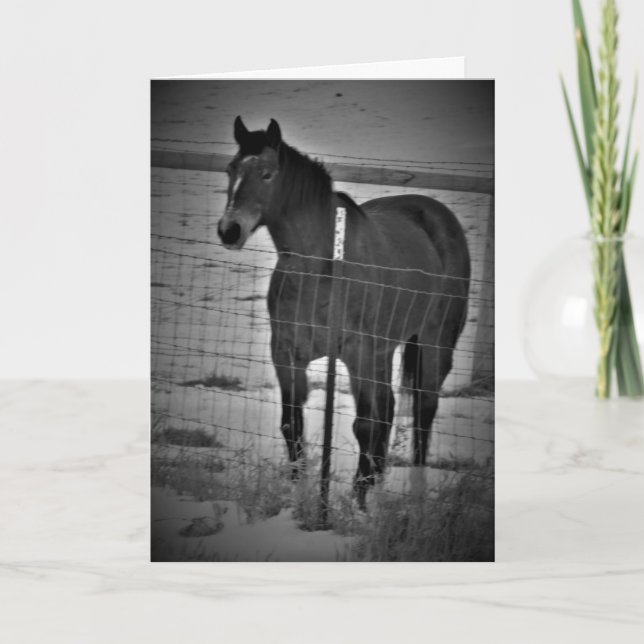 Cartão de Aniversário "Suba no Seu Cavalo Branco" (Frente)