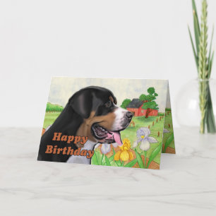 cartão de aniversário swissie