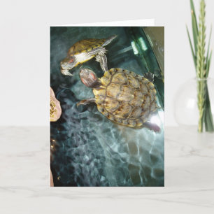 Cartão de Aniversário “Tartarugas Dançantes”