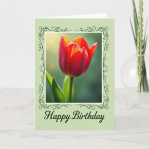 Cartão de Aniversário Tulipa Carmesim