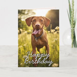 Cartão de Aniversário Vizsla Personalizado