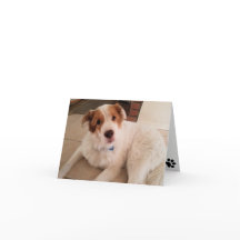 Cartão de anotação Cachorro no vazio com pegadas