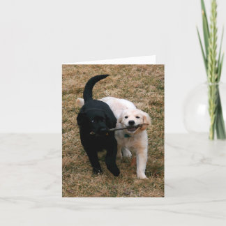 Cartão de anotação de cachorros preto e branco