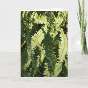 Cartão de anotação "padrões Fern"