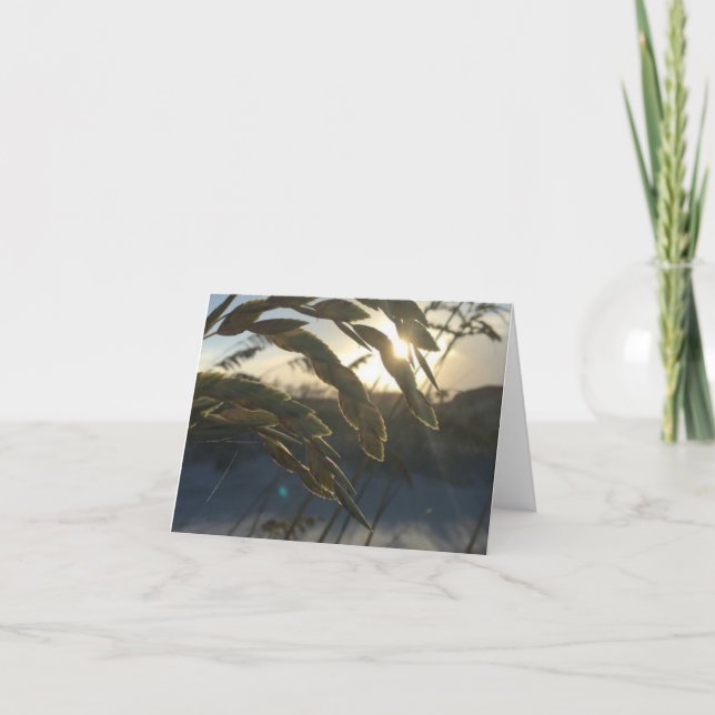 Cartão de anotação Sea Oats (Frente)