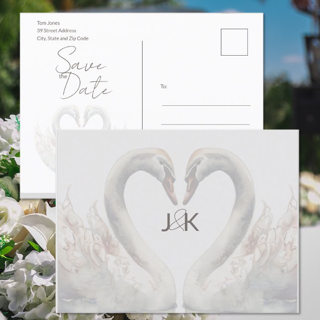 Cartão de anúncio de casamento com cisnes romântic (Romantic Swans Wedding Save the Date Postcard (front and back))