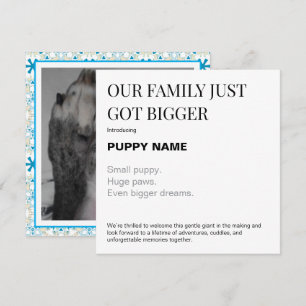 Cartão de Anúncio de Foto de Novo Cachorrinho