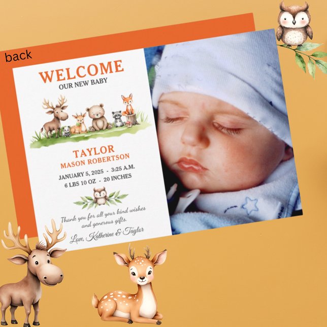 Cartão de Anúncio de Foto do Baby Boy Woodland (Criador carregado)