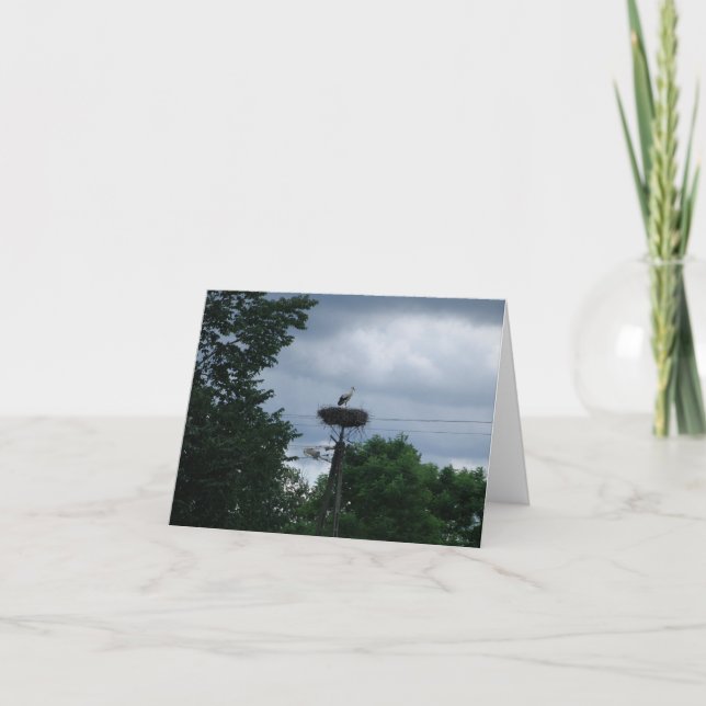 Cartão de Anúncio de Gravidez de Bebê com Foto Sto (Frente)